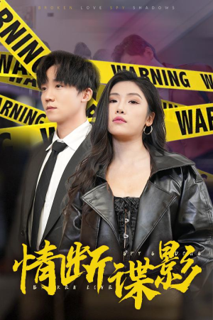 我的特工老婆(30集) 我的特工老婆(30集) 全集下载