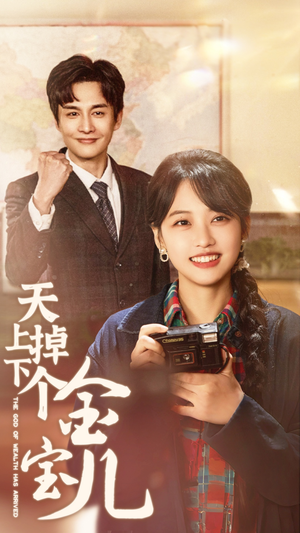 天上掉下个金宝儿（70集） 免费看全集