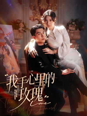 我手心里的玫瑰（91集） 短剧太好看