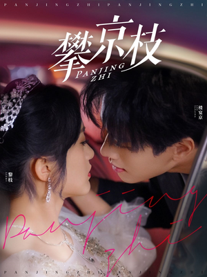 攀京枝（80集） 大结局完美收官