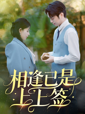 相逢已是上上签(30集) 相逢已是上上签(30集) 大结局