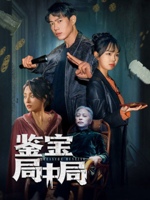 鉴宝局中局（52集） 在线免费观影