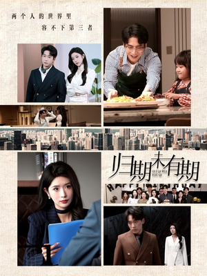 归期未有期（60集） 热门火爆短剧