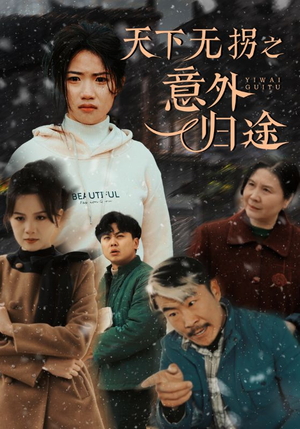 天下无拐之意外归途（61集） 评价怎么样