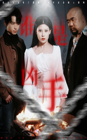 谁是凶手（31集） 在哪里可以看