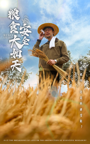 粮食安全大如天(43集) 粮食安全大如天(43集) 口碑爆棚免费看