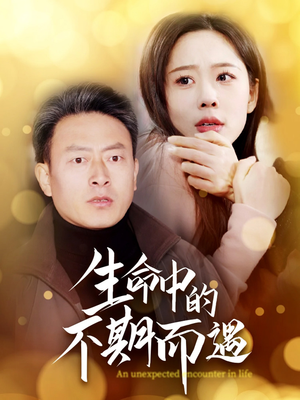 生命中的不期而遇(35集) 生命中的不期而遇(35集) 经典老剧免费看