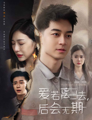 爱若离去,后会无期(70集) 爱若离去,后会无期(70集)短剧推荐更新中