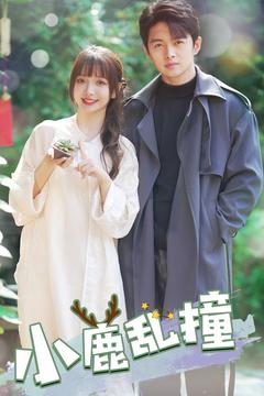 小鹿乱撞（40集） 最新热剧免费看