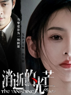 消逝的光芒(55集) 消逝的光芒(55集) 深深爱上这部剧