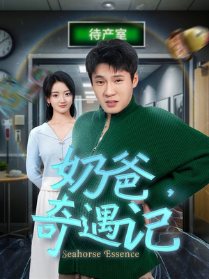 奶爸奇遇记(60集) 奶爸奇遇记(60集) 好看又上头短剧