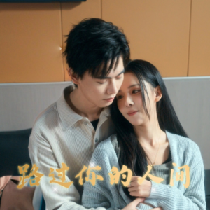 路过你的人间（31集）一口气追完短剧