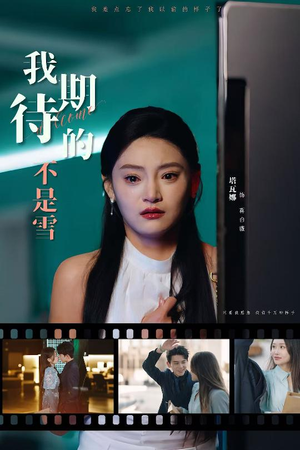 我期待的不是雪(30集) 我期待的不是雪(30集)好看短剧追不停