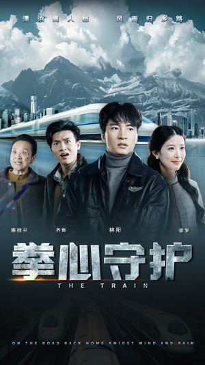 拳心守护（28集） 追短剧看全集