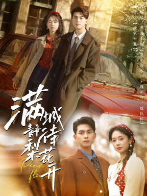 满城静待梨花开（100集）热门短剧推荐