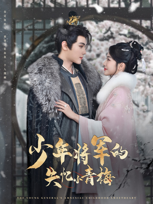 少年将军的失忆小青梅（100集）免费观看