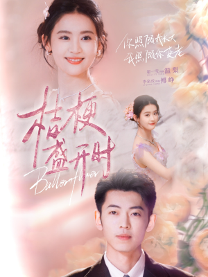 她的小桔梗(92集) 她的小桔梗(92集)在线观看全集