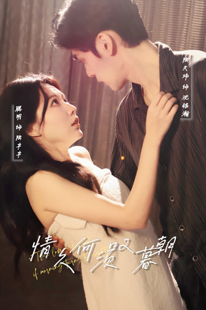 情久何须叹暮朝（61集） 一共多少集