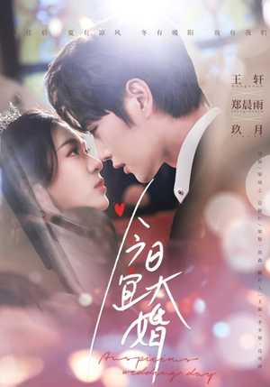 今日宜大婚(59集) 今日宜大婚(59集) 短剧小说在线看