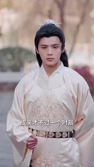 和离后，她带崽嫁入太子府（60集）全集我都看完了