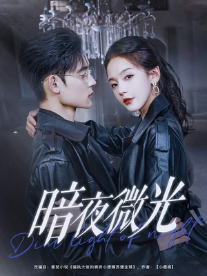 暗夜微光(86集) 暗夜微光(86集)短剧分享剧集