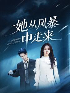 她从风暴中走来(60集) 她从风暴中走来(60集)免费看全网短剧