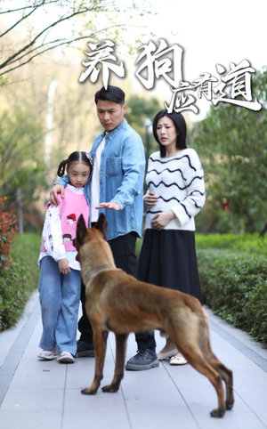 养狗应有道(60集) 养狗应有道(60集)推荐你们也去看