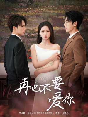 再也不要爱你(79集) 再也不要爱你(79集)全集