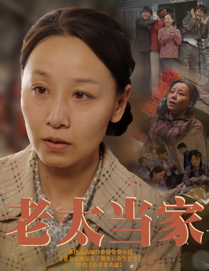 老太当家(60集) 老太当家(60集)女主角是谁