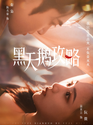 黑天鹅攻略（65集）短剧排行榜