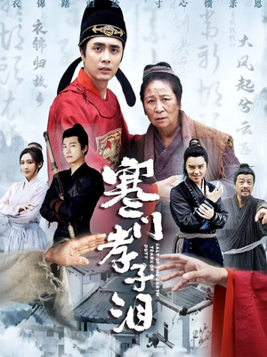 寒门孝子泪(31集) 寒门孝子泪(31集)真的太好看了