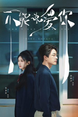不能说爱你(64集) 不能说爱你(64集)短剧介绍