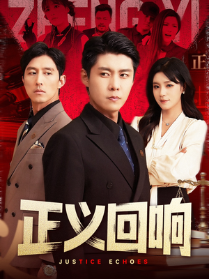 正义回响（98集）短剧小说在线看