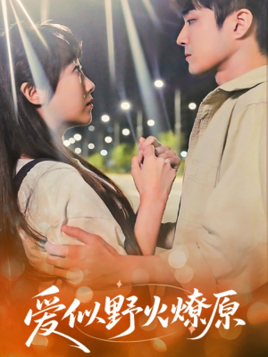爱似野火燎原（47集）一起追短剧吧