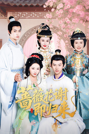 蔷薇花谢即归来（61集）真的太精彩了