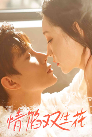 情陷双生花（30集）海量短剧免费看