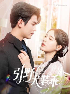 引野犬装乖（61集）在哪个app能看