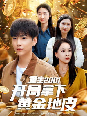 重生2001开局拿下黄金地皮（82集）全集