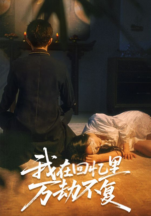 我在回忆里万劫不复（60集）男主角是谁