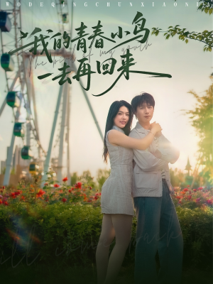 我的青春小鸟一去再回来(95集) 我的青春小鸟一去再回来(95集)恋爱短剧分享