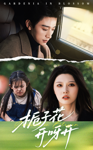 栀子花开呀开（66集）更新时间