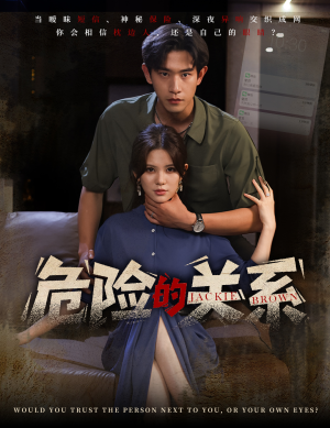 危险的关系（55集）短剧免费看全集