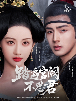 踏遍宫阙不思君(75集) 踏遍宫阙不思君(75集)看过的人都说好