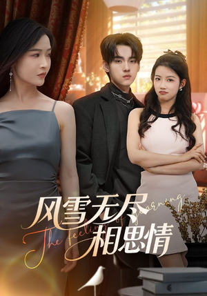 风雪无尽相思情（61集）高分推荐免费看