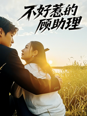不好惹的顾助理(67集) 不好惹的顾助理(67集)好看上头的短剧