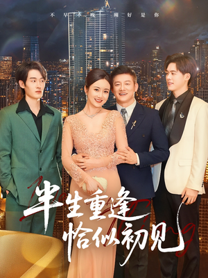 半生重逢恰似初见(90集) 半生重逢恰似初见(90集)剧情简介