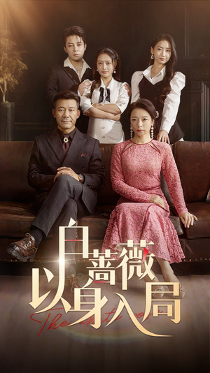 白蔷薇以身入局（82集）短剧