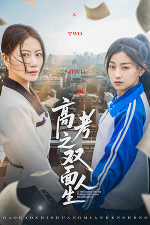 高考之双面人生(71集) 高考之双面人生(71集)一共多少集