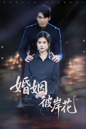 婚姻彼岸花(63集) 婚姻彼岸花(63集)短剧每日分享