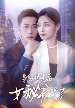 身份曝光后女秘书哭了(31集) 身份曝光后女秘书哭了(31集)大结局太过瘾了